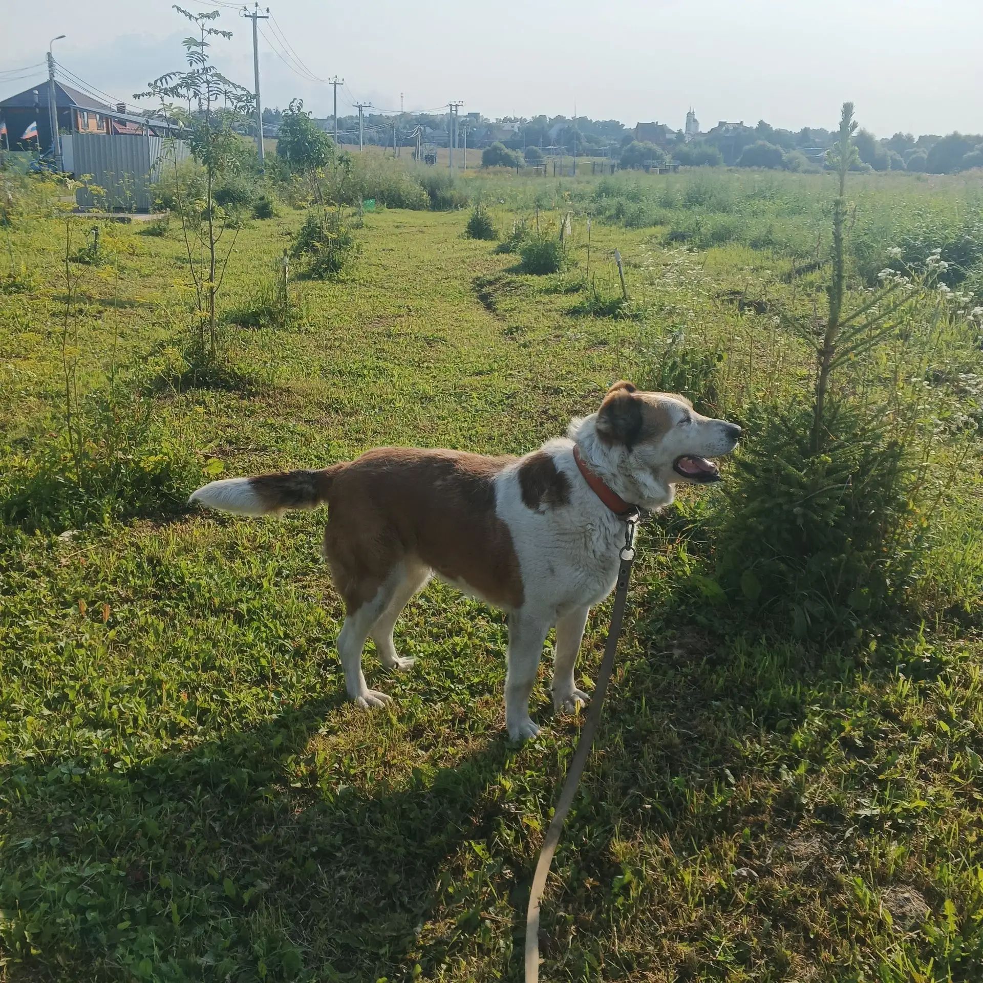 https://i7.imageban.ru/out/2026/07/29/e9e80d78f4272fc9d41a62ee7c8764a6.jpg