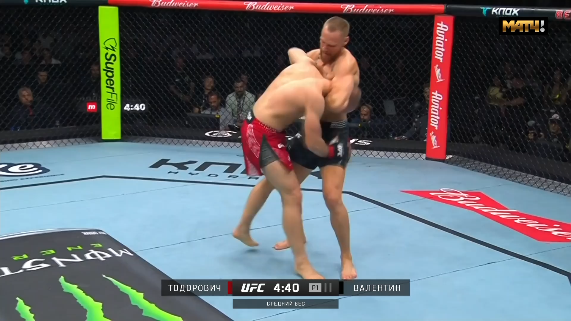 UFC Fight Night 283 Medic vs Rodriguez - Матч ТВ (25 FPS) [Main Card].mkv_snapshot_00.49.50.000.png
