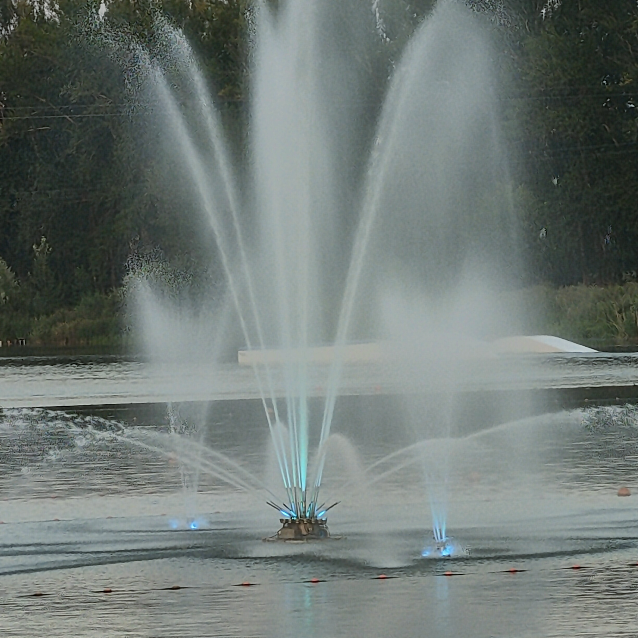 IMG20260803193306.jpg