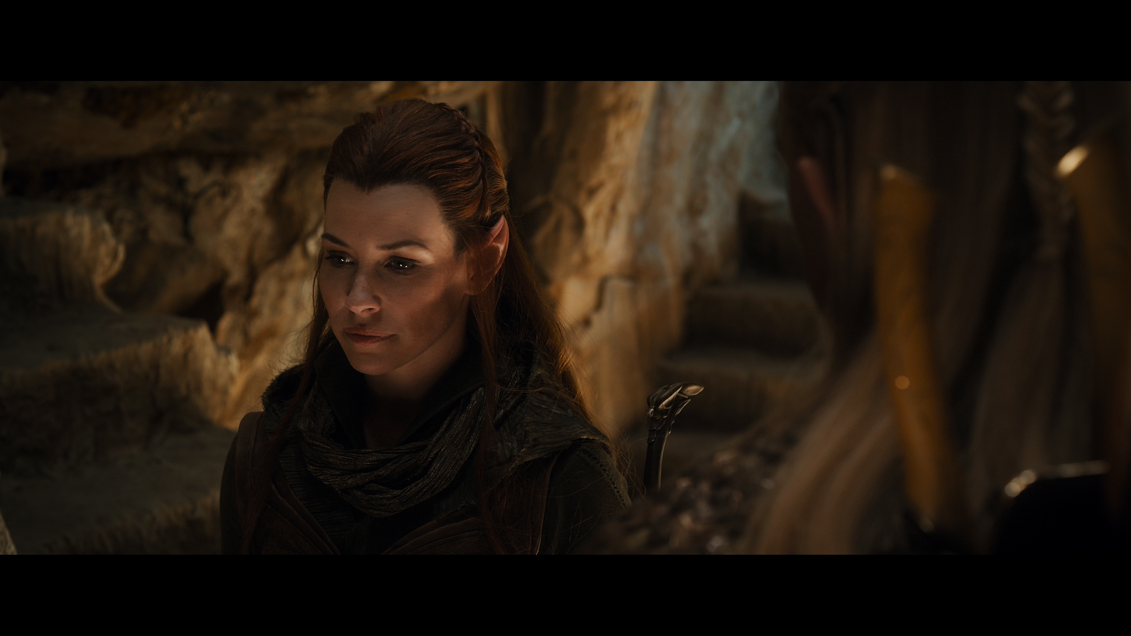 Хоббит Пустошь Смауга.2013.Extended Cut.UHD.Blu-Ray.Remux.2160p.mkv_snapshot_00.49.34.805.png