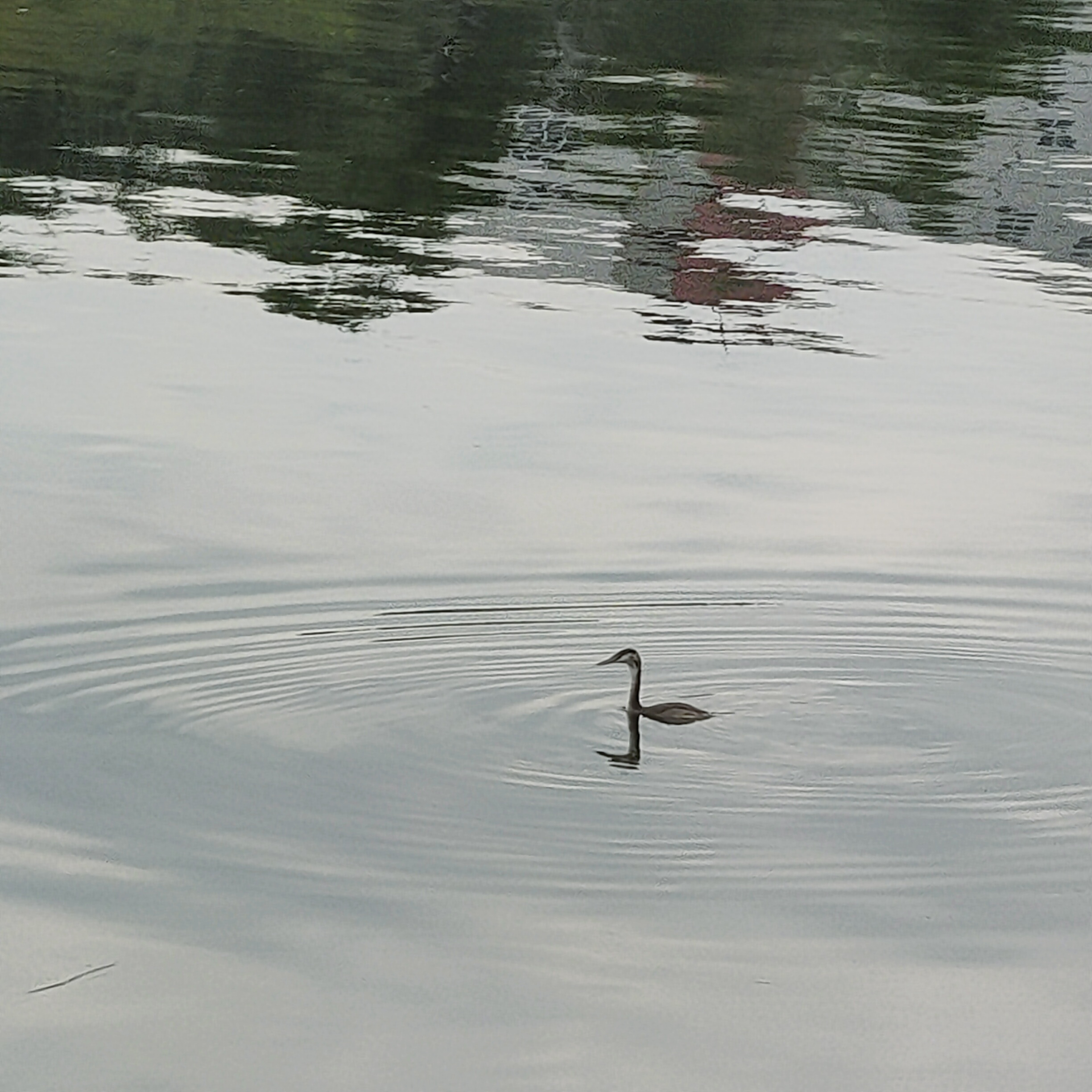IMG20260812101240.jpg