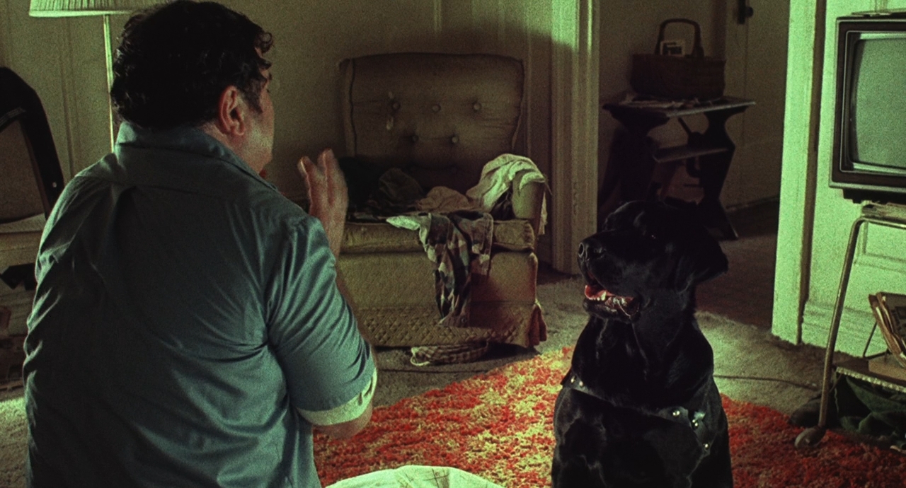 Кровавое лето Сэма.1999.BDRip 720p msltel.mkv_snapshot_01.39.09.896.jpg