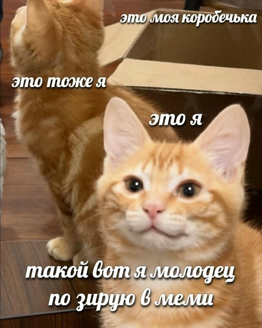 -pZR2Hyf-VUNu2M0jhuAgDHxzc6rhaUVd-_pX9yyfH6Rdv9qhUfUucS0XVOymOtiifR-J-bnUUqQeWnKX8suFrod.jpg