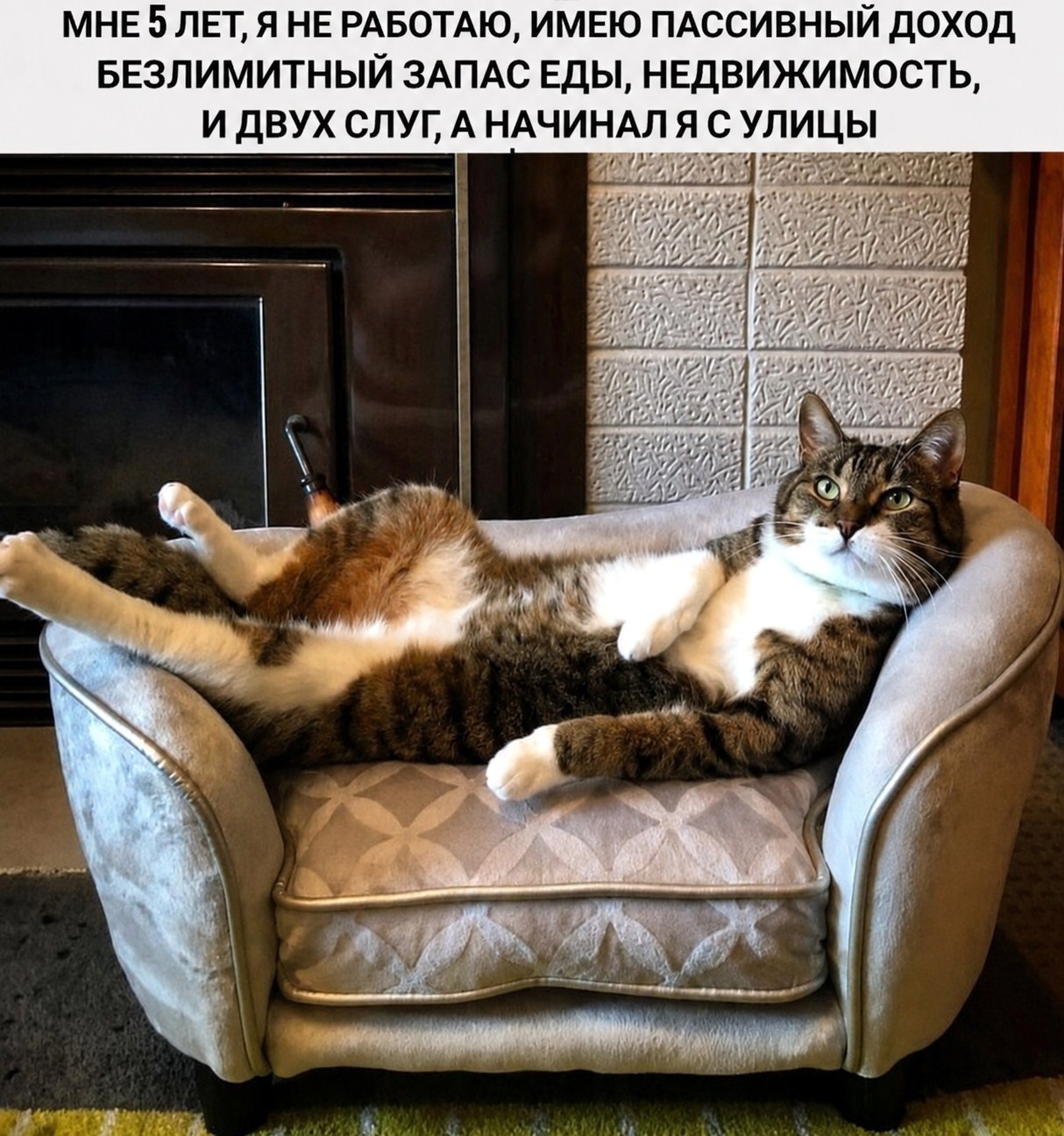 5cbf4a55b1-8ee7-41f7-a536-22ea9bc2a5b7.jpg