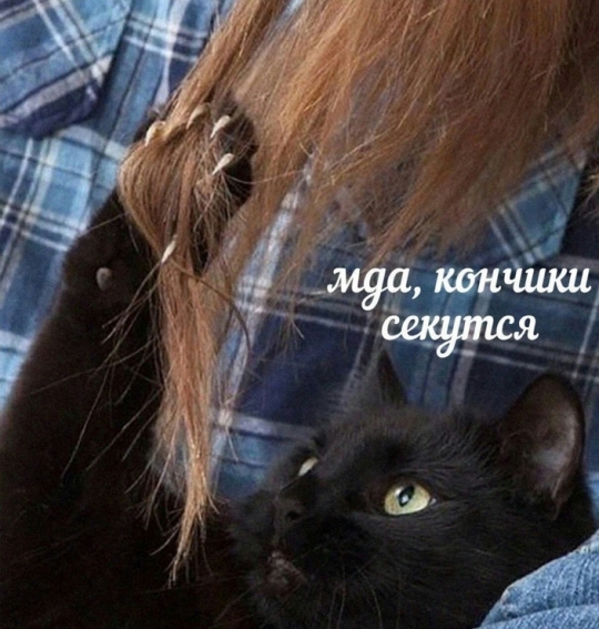 MG-jk8tSEMbR1YBam1BMz32NFkFfaGfeh_pQ4hRia-YxvmI6a5eS9LViTiMB1sZL2fZHQGdVPUxvkwG-cp8OK7zr.jpg