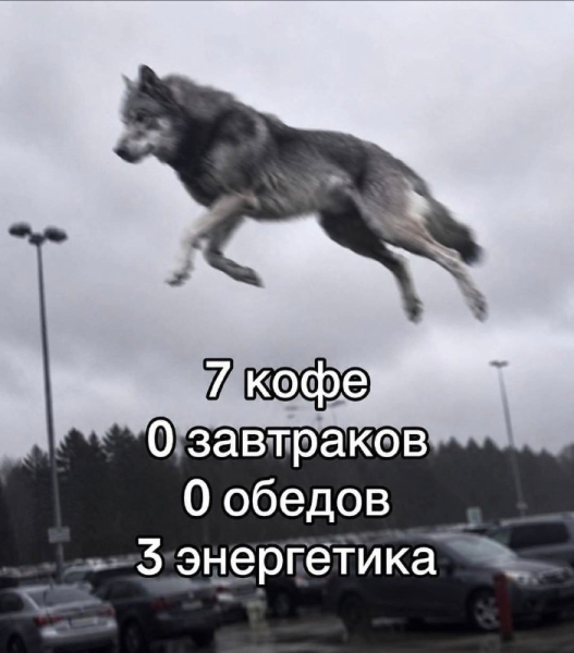 https://i7.imageban.ru/out/2026/08/21/744dc61b026a527762c14349cf637520.png