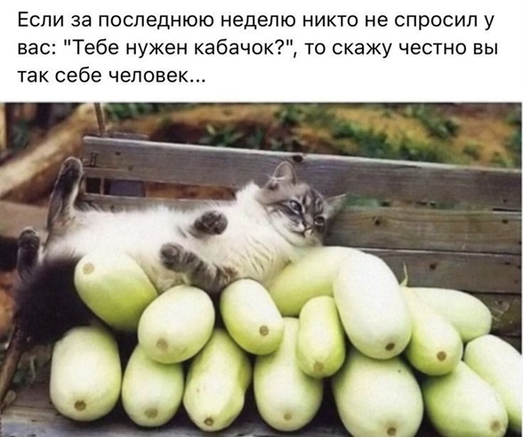 https://i7.imageban.ru/out/2026/08/21/db5666012d17e5b338ee38786e9a044f.jpg