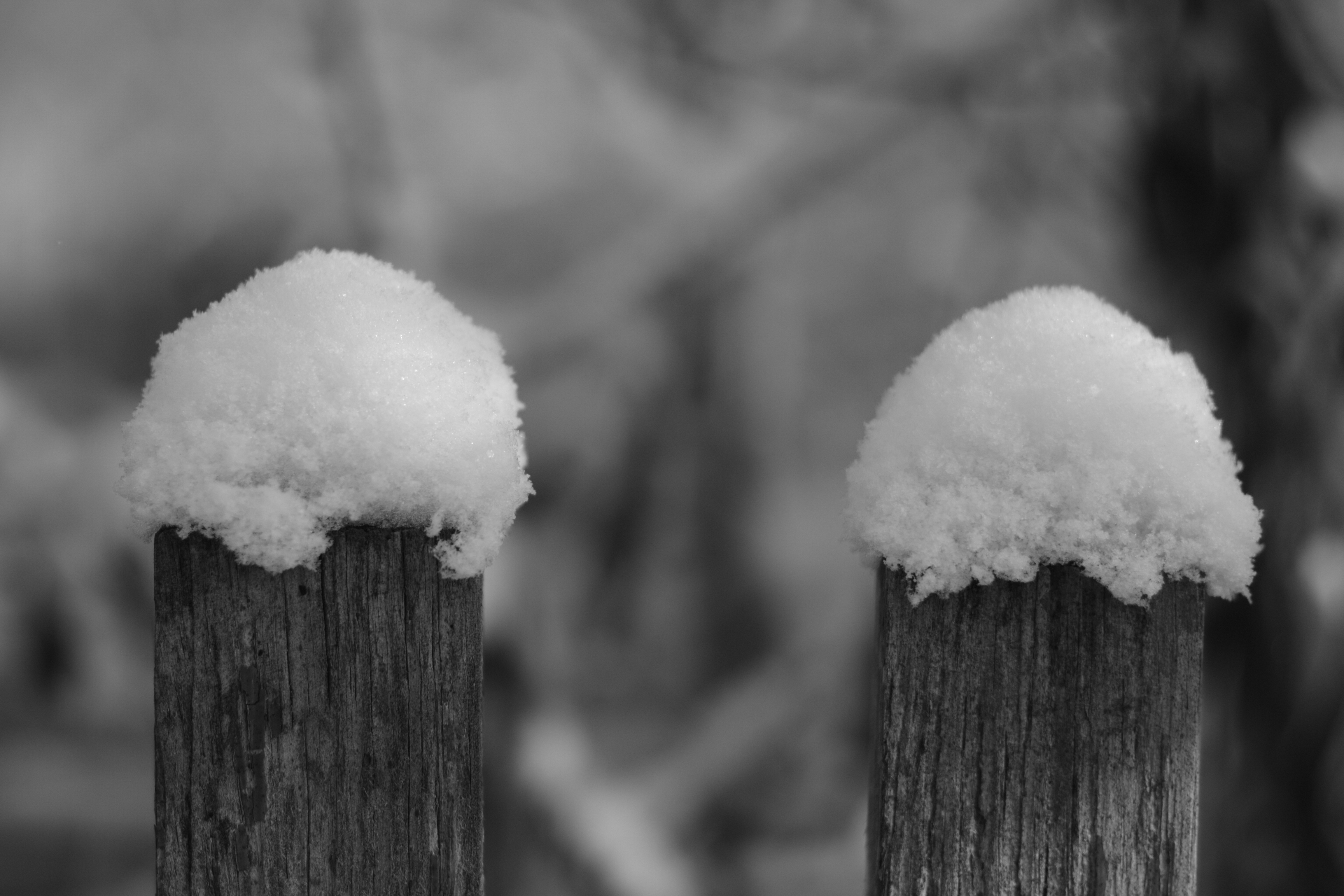 DSC_3336.JPG