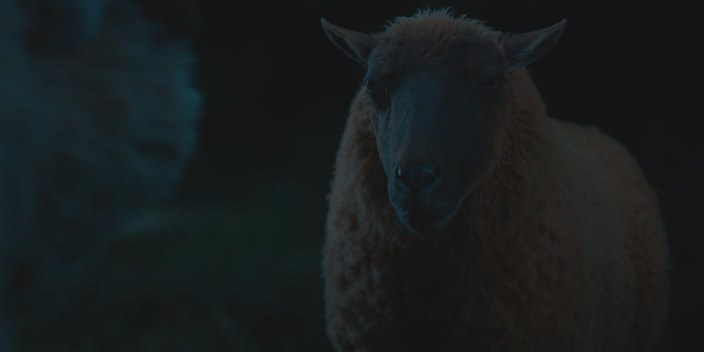 The.Sheep.Detectives.2026.HDRip.1.46gb_by_ТоррНадо.avi_snapshot_01.09.26.044.jpg
