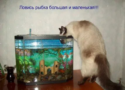 https://i7.imageban.ru/out/2026/08/30/480287f3d51e93a820f121e8ef822da6.jpg