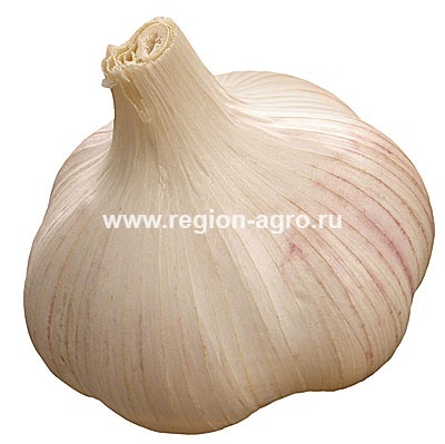8936.jpg