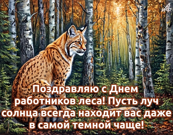 29f7dfae973dd62b7092812aa6b0c2bf.jpg