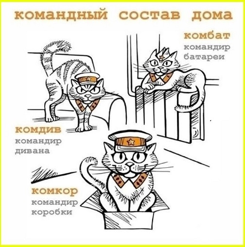 https://i7.imageban.ru/out/2026/08/31/d0f63fd81fab6cc29da25f2bdb38dbf9.jpg
