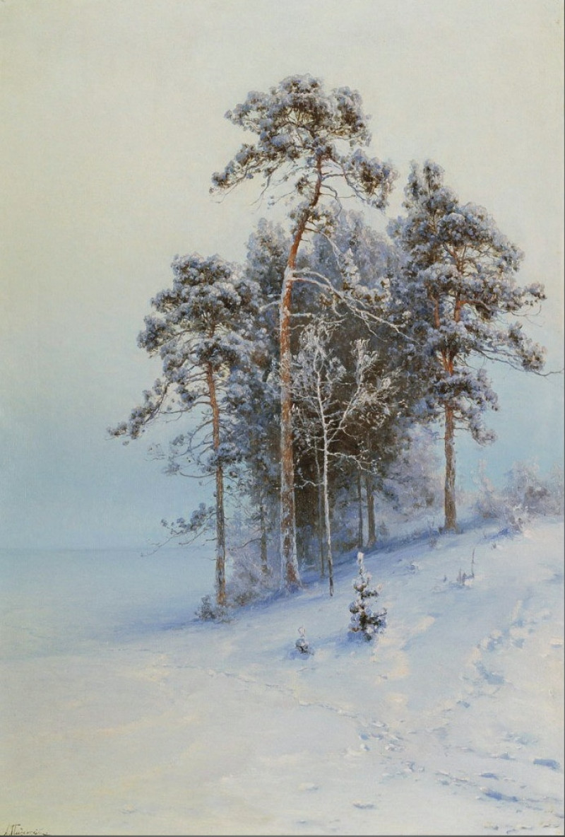 Зима. Сосны.jpg