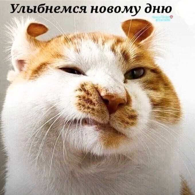 75e2f0524eaea37e628c3c86bf10fcee.jpg