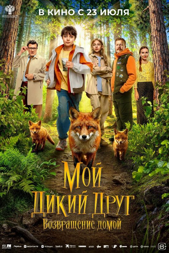 https//i7.imageban.ru/out/2026/09/12/b3fb755ca5339ba8baa0ab30e9952432.jpg
