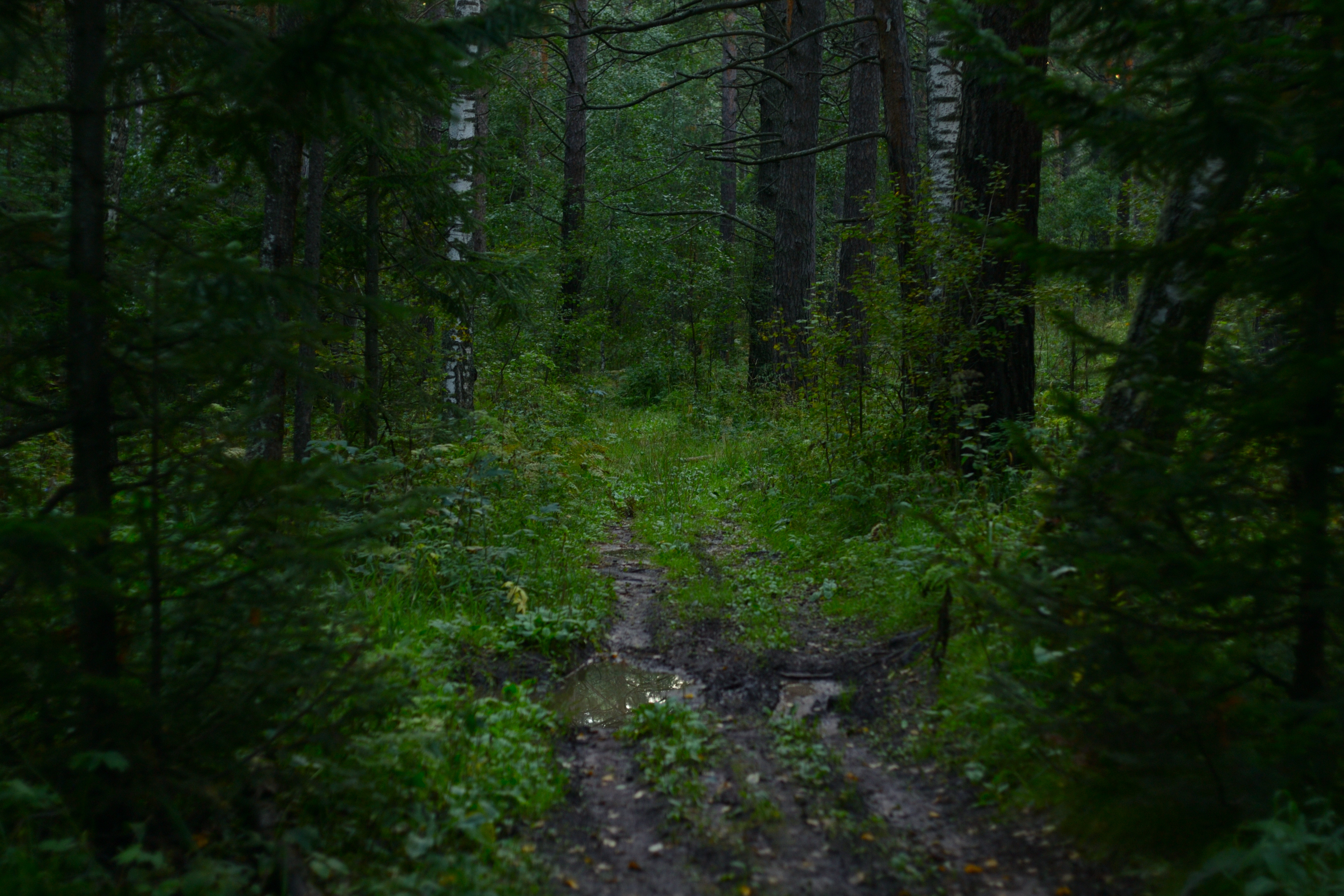 DSC_2243 2.JPG