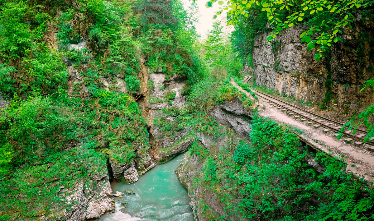 scale_1200.jpg
