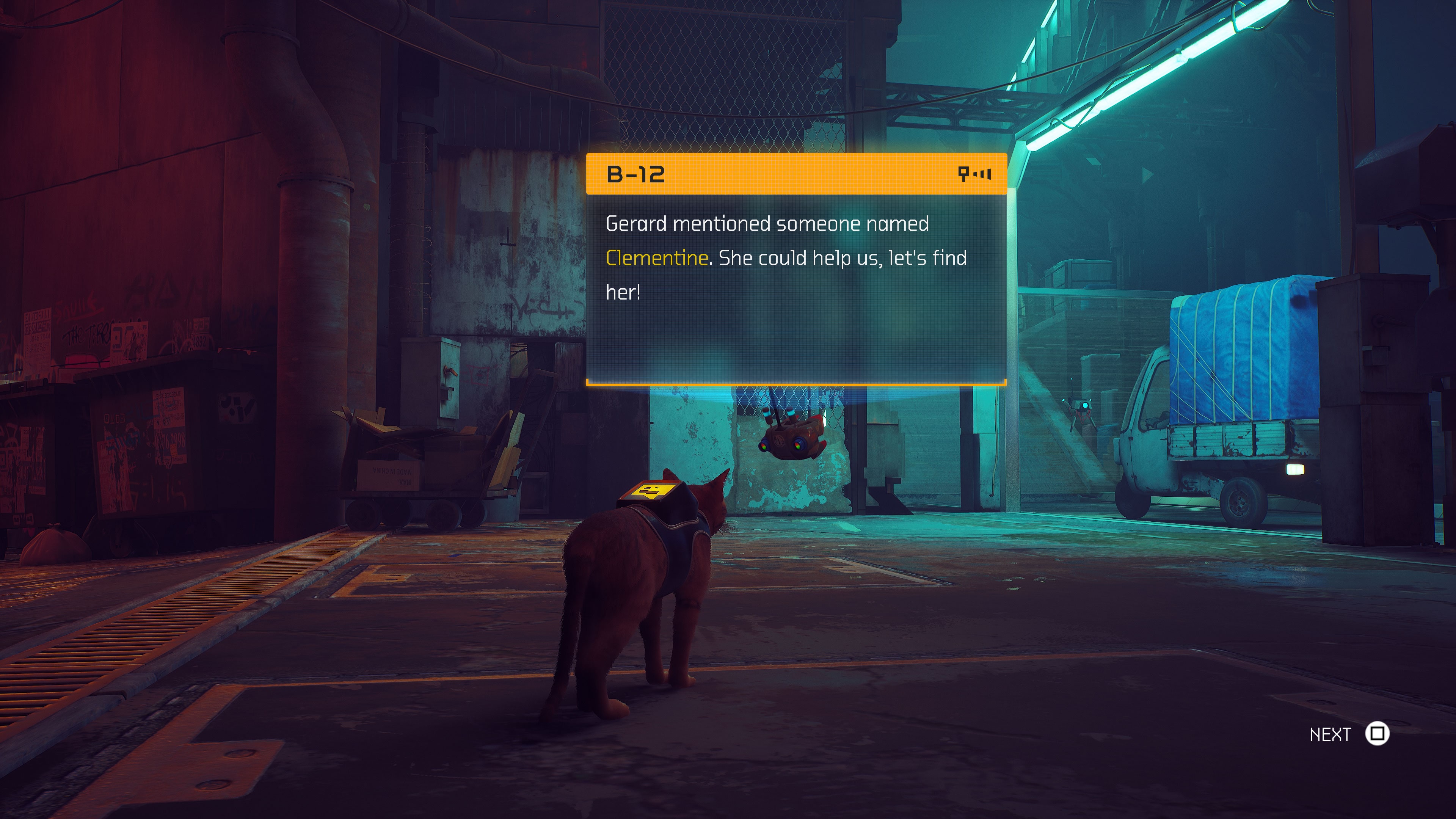stray-3.jpg