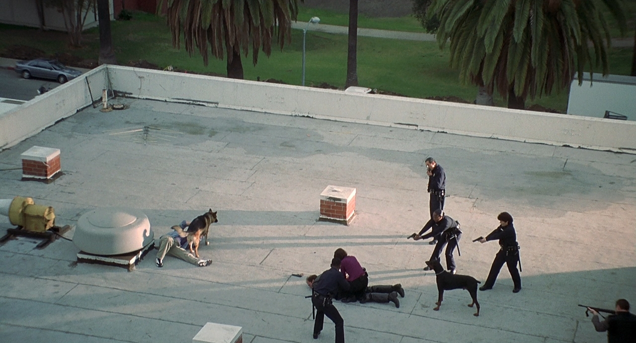 К-911.1999.BDRip 720p msltel.mkv_snapshot_01.24.09.545.jpg
