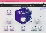 Native Instruments - Raum v1.2.2 VST, VST3, AAX x64 - ревербератор