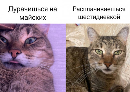 кты 