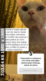 https://i7.imageban.ru/thumbs/2025.06.10/cacebe5c945e17debfe0468b8bb25d83.jpg