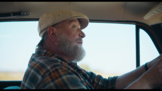     (2025/WEB-DL/WEB-DLRip)