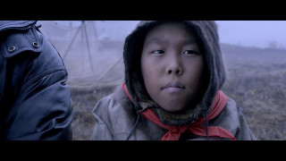 ����� (2025/WEB-DL/WEB-DLRip)